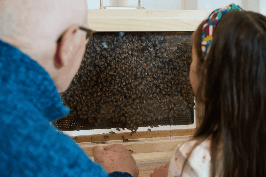 Photographie événementielle, vidéos, contenus live